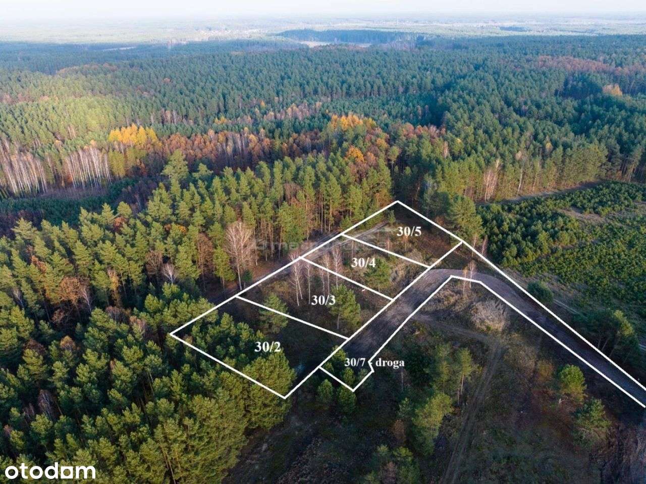 Działka w Borach Tucholskich, las, jezioro Wz