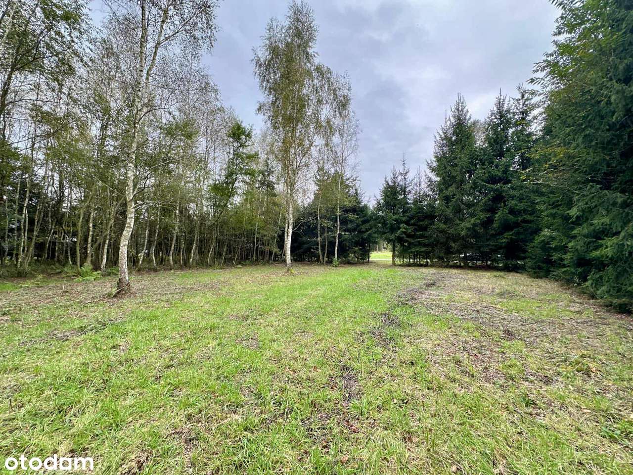 Piękna działka budowlana- Pustków.-2
