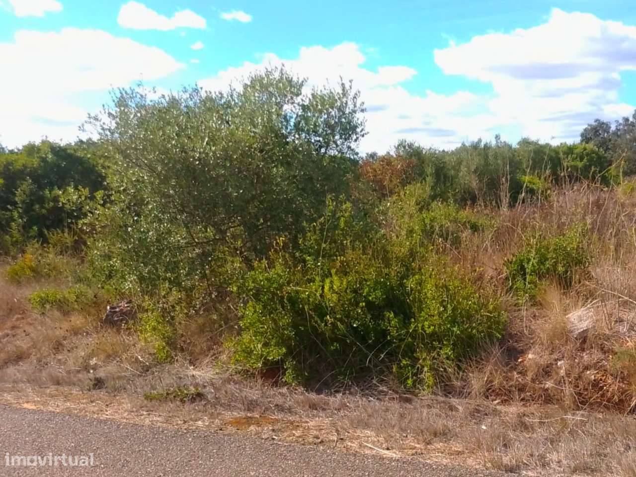 Terreno Rústico com 22.560 m² em Almoster - Grande imagem: 4/5