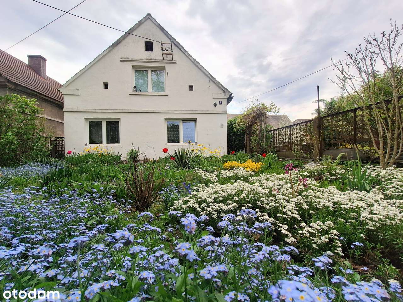 Dom z dużą działką obok Oławy.-3