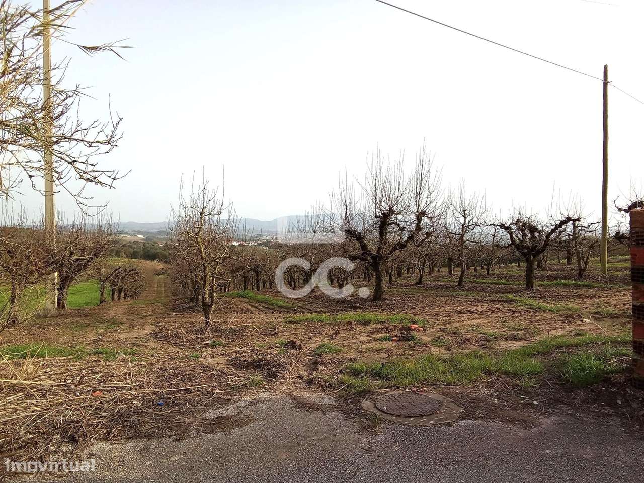 Terreno Rústico para venda com 9360m2 (urbanizável) em Carvalhal, Bomb-7