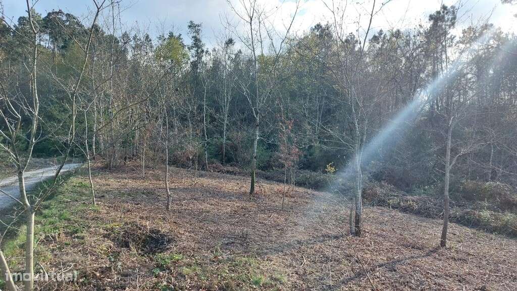 Lote Construção - Fiscal - Grande imagem: 4/4