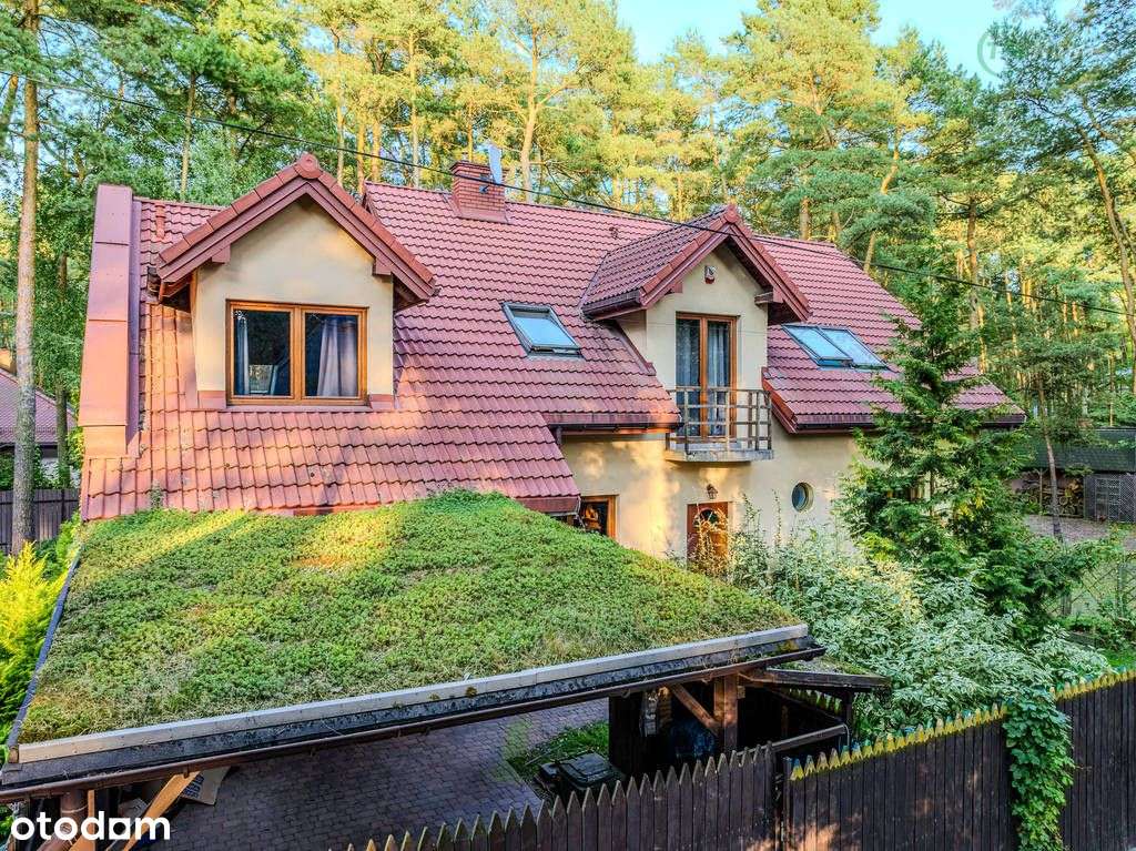 Józefów, dom wolnostojący otoczony sosnami.-19