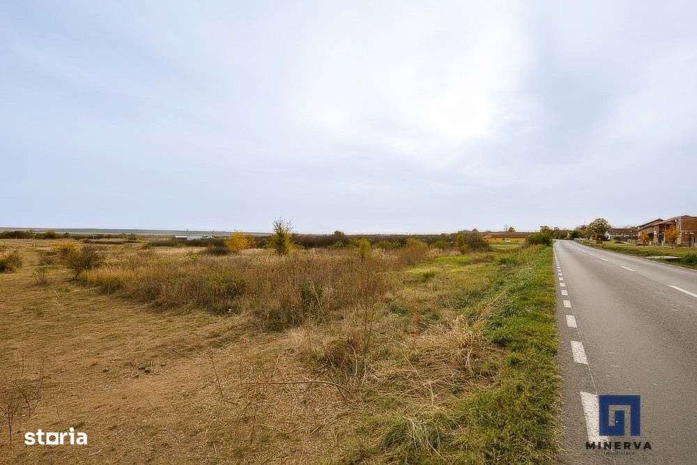 Teren ideal ca investitie, 19000 mp, in Pischia pe DJ691, comision 0-3