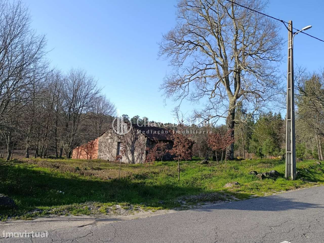 Terreno  Venda em Couto de Baixo e Couto de Cima,Viseu-12
