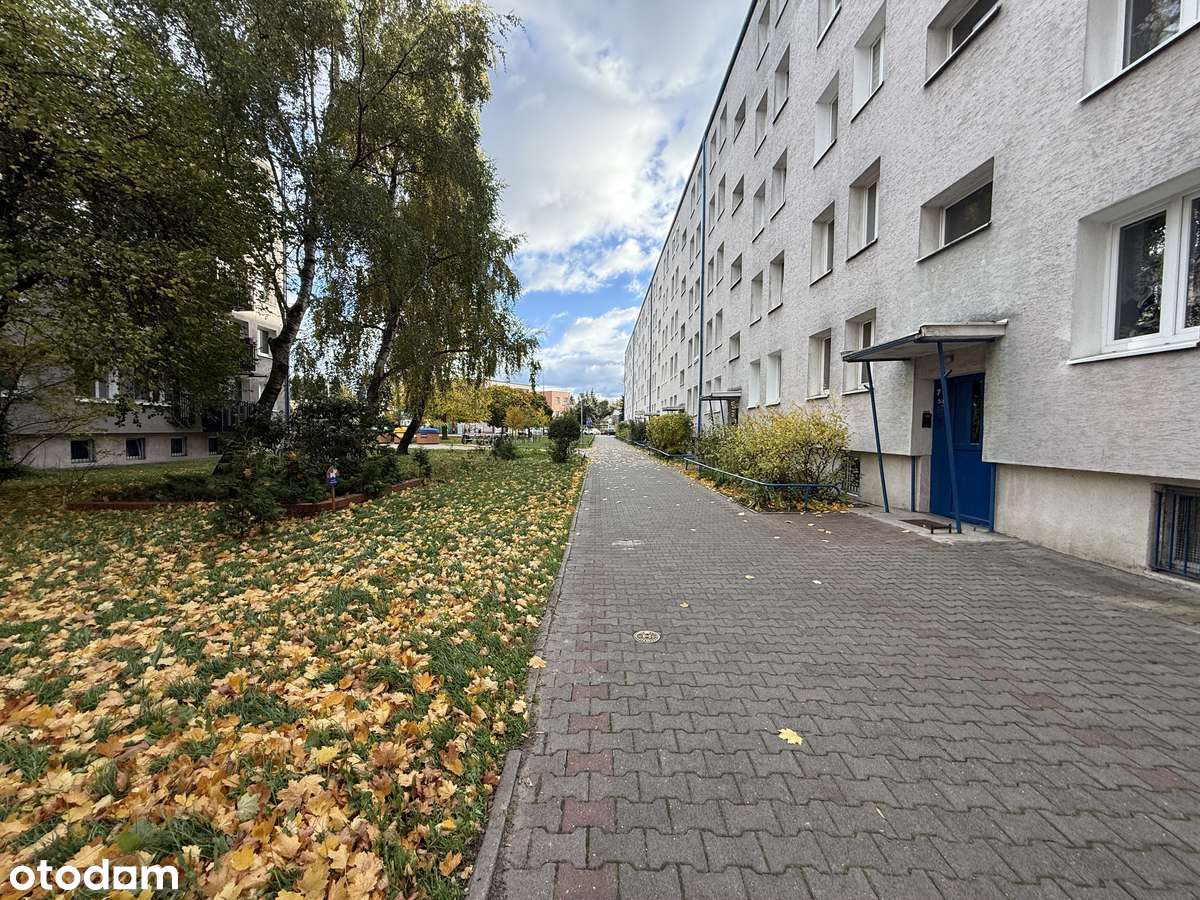 Mieszkanie z potencjałem i pięknym widokiem na zieleń | Winogrady-16