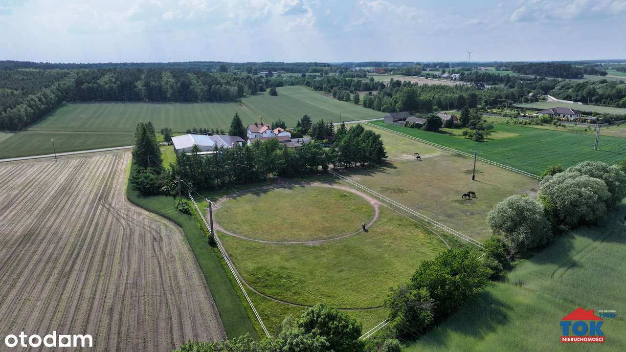 Nieruchomość z kompleksem stajennym i ujeżdżalnią, Głodowo gm. Golina-5