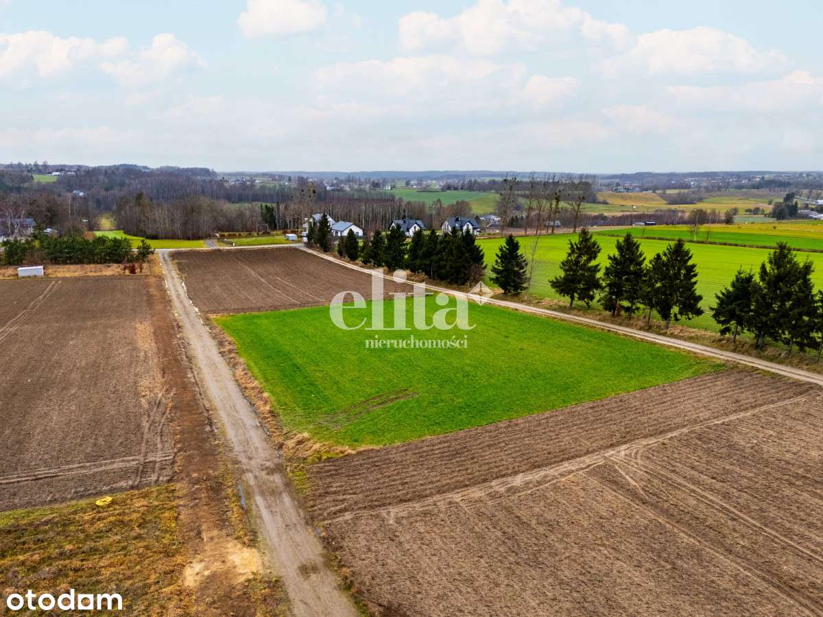 3 dzialki budowlane | 1020, 1020, 1022 m² | Warzno - Pełny obrazek: 4/9