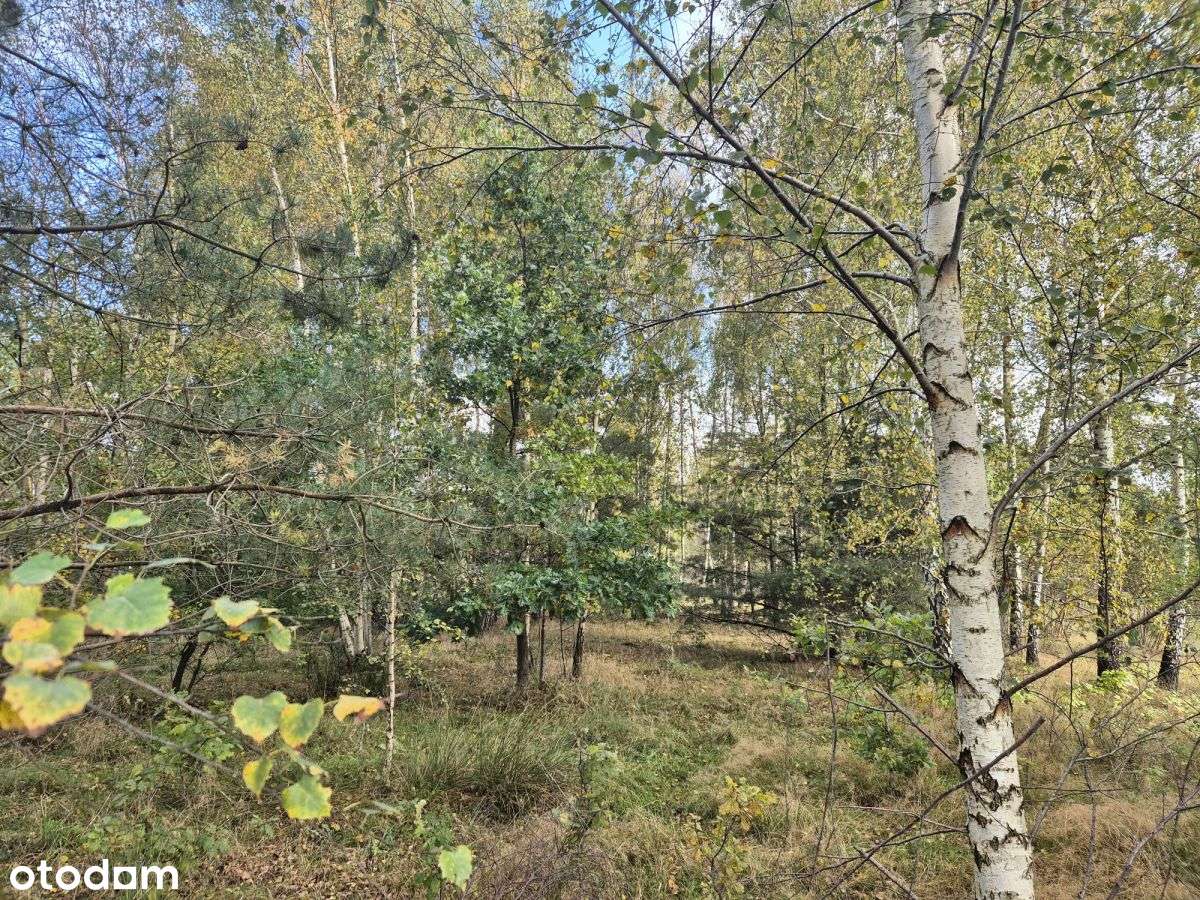 Działka pod dom na nowym osiedlu-6