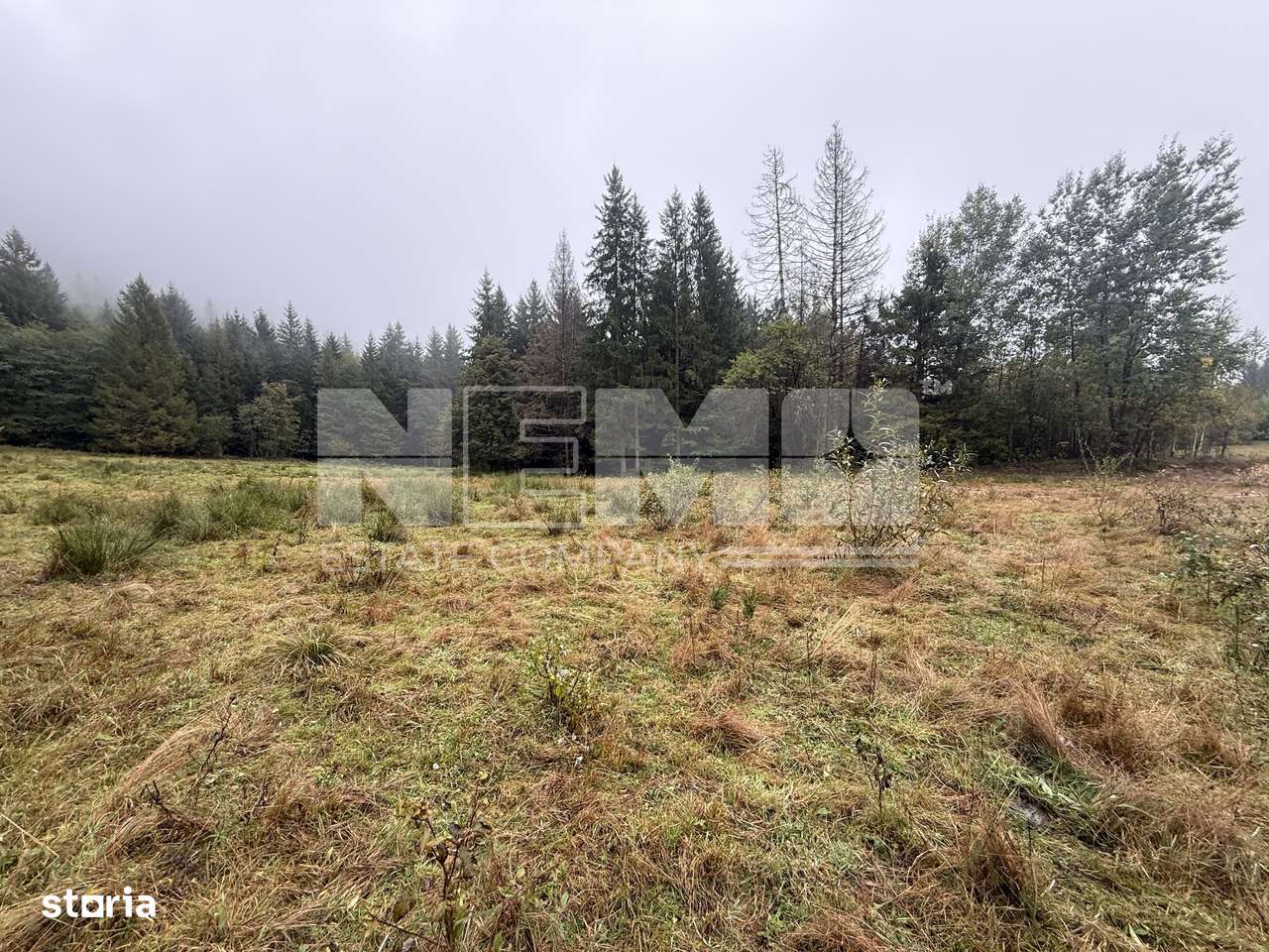 Teren Extravilan | 6.100 mp | Brodina | 41.000 € negociabil - Imagine principală: 3/14