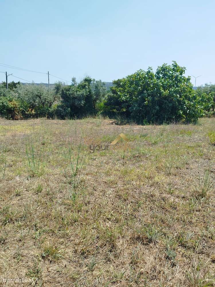 Terreno Urbano com 2.608m² em Moleanos-8