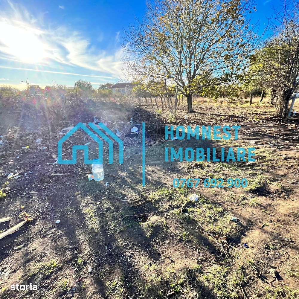 Stefanestii de Jos iIlfov | Teren 996.08 mp-9