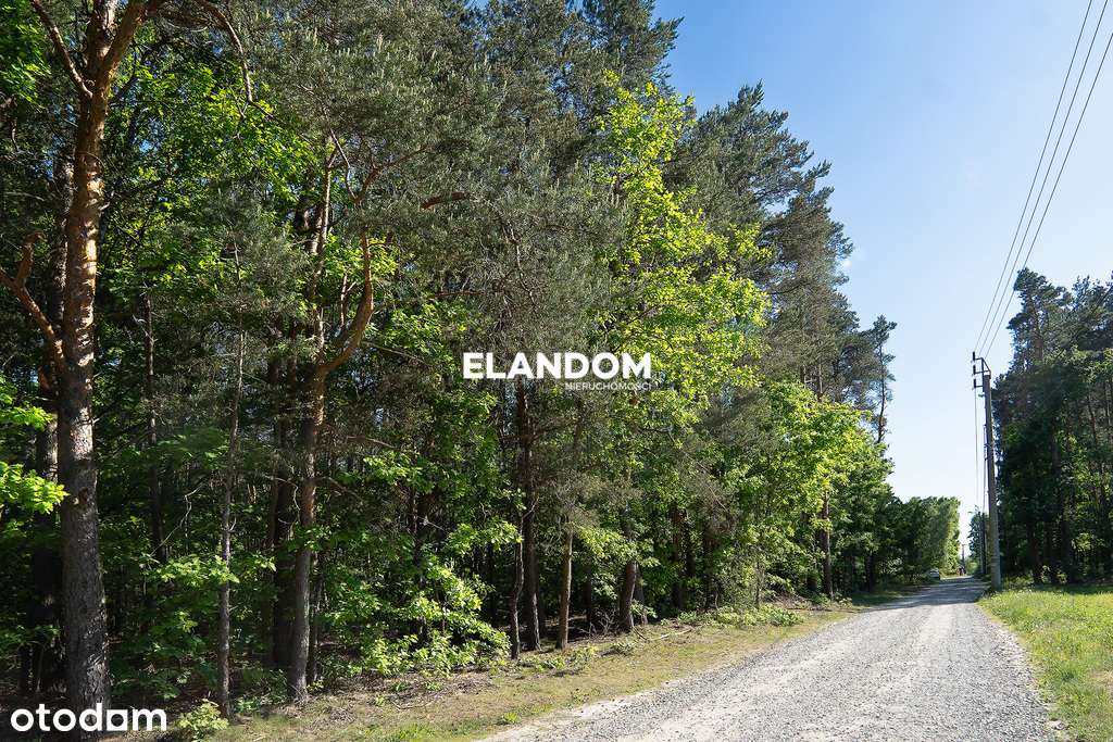 Atrakcyjna działka budowlana Dziechciniec - Pełny obrazek: 4/9