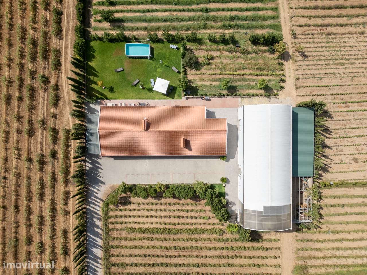 Quinta Biológica - Monte de Palma em Sao Manços com negócio. - Grande imagem: 3/54