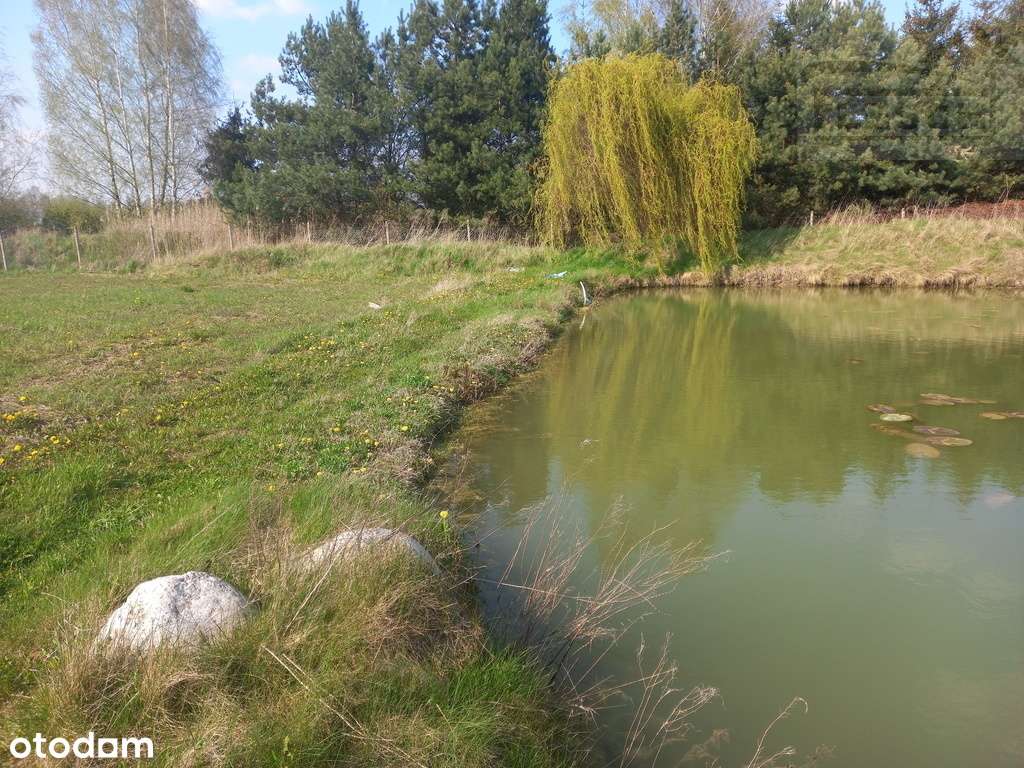Działka-rolno budowlana Pniewy 15100 m² - View 4