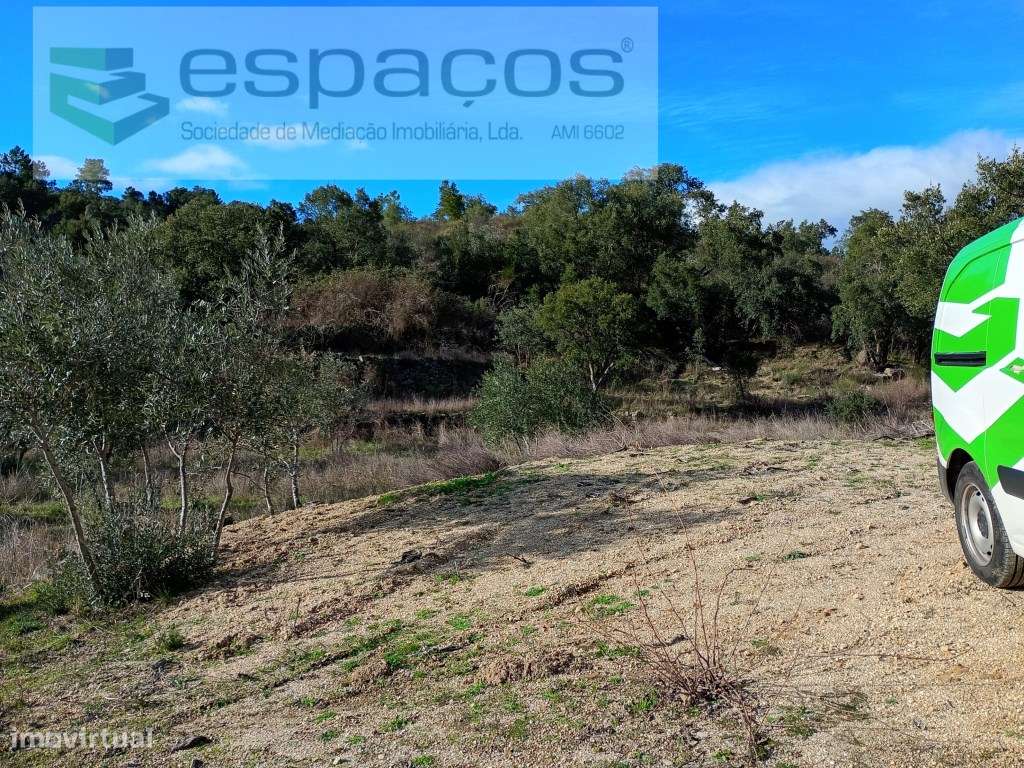 Terreno Rústico a 15 minutos de Castelo Branco-3