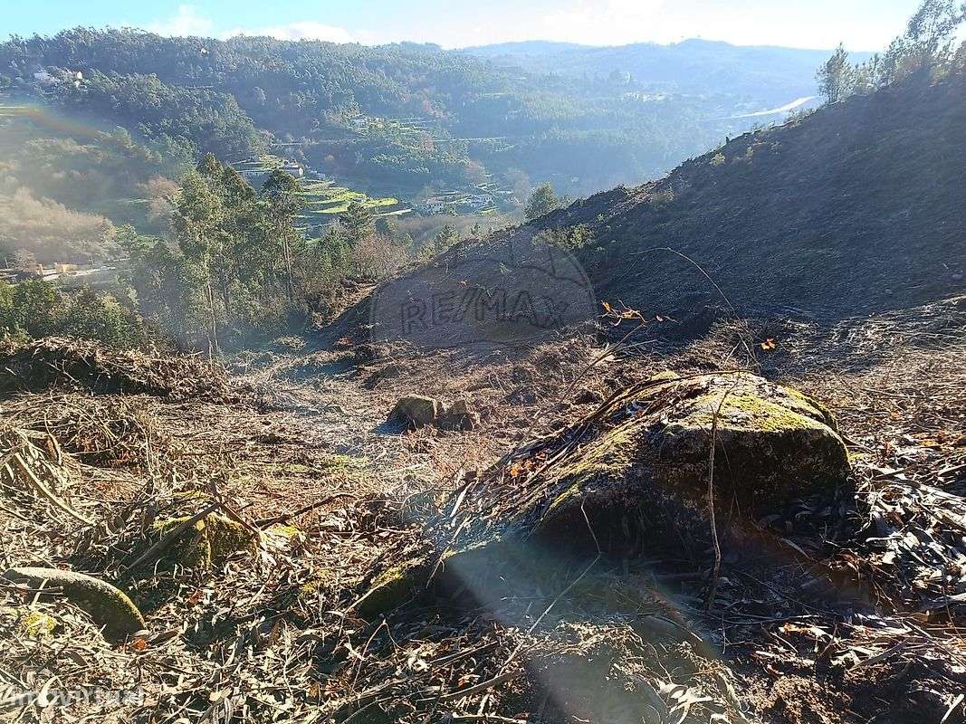 Terreno  para venda - Grande imagem: 3/4