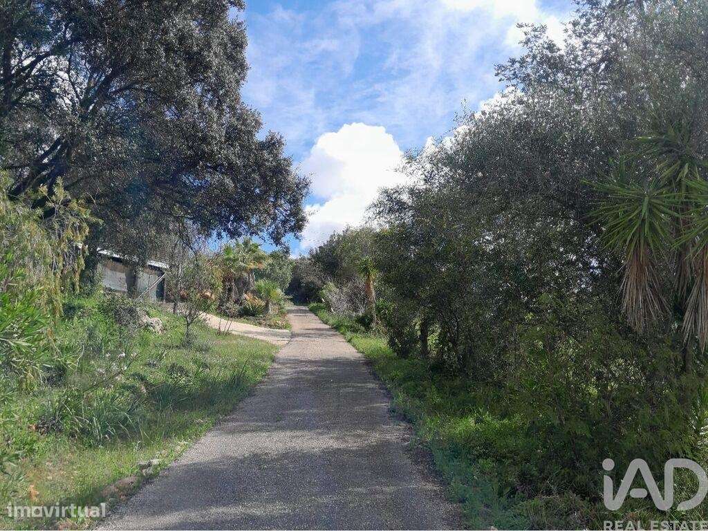 Terreno em Paderne de 9560,00 m2 - Grande imagem: 5/24