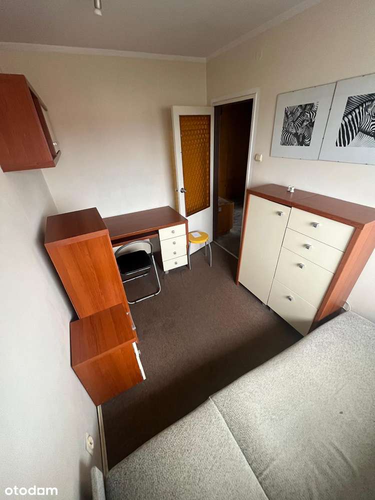 ul. Jeżycka 48 przy NETTO, 3 pok. mieszkanie do remontu.-7