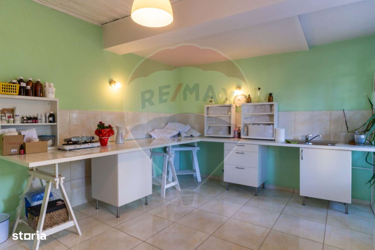 Vila multifunctionala de vanzare, Soseaua Slaj-1