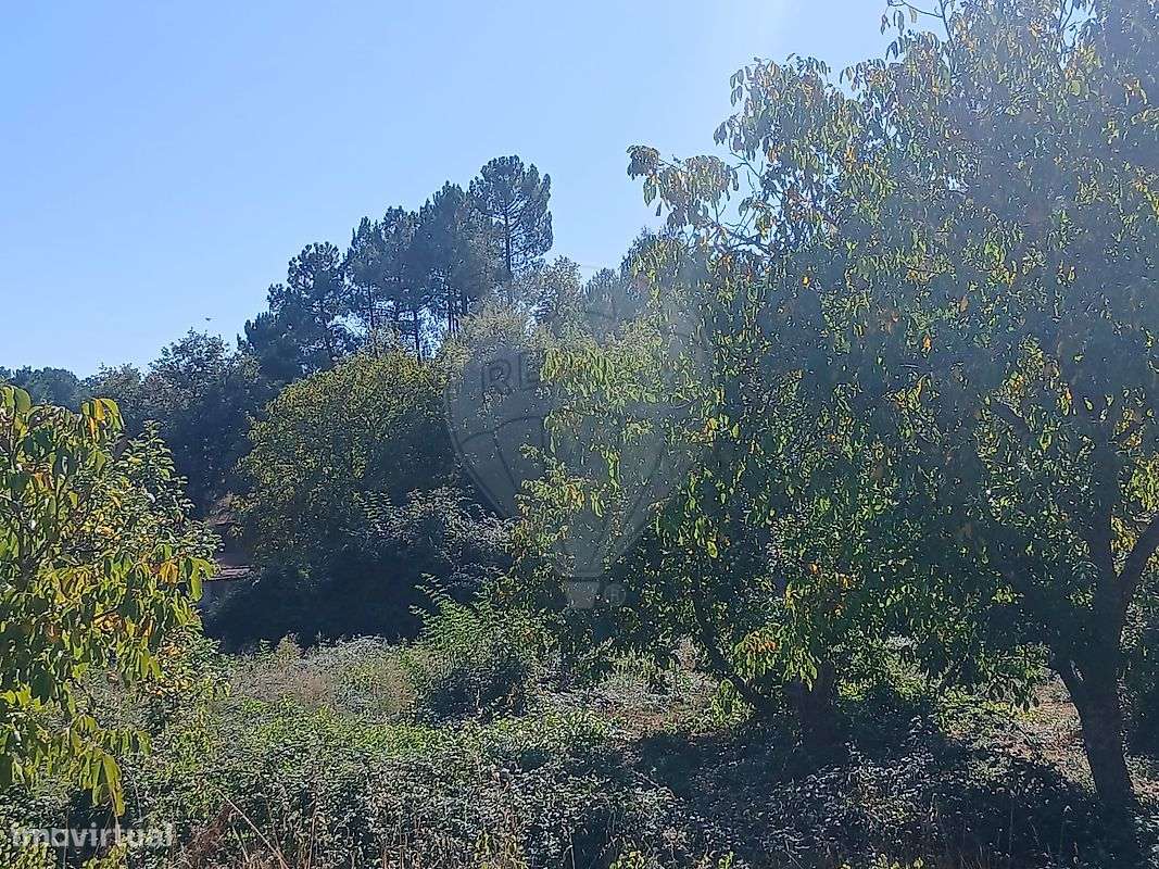 Terreno  para venda - Grande imagem: 4/7