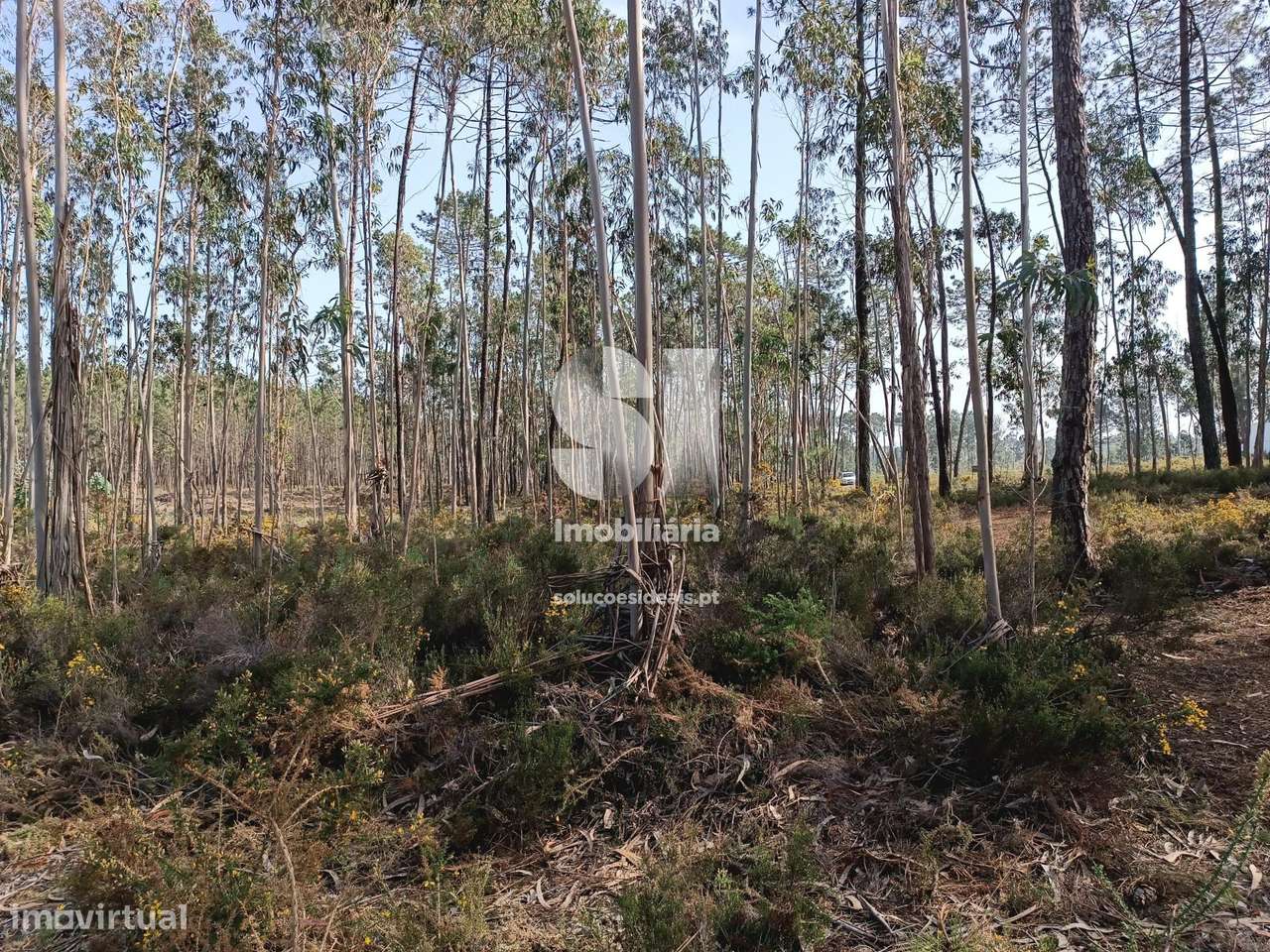 Vende Terreno - Grande imagem: 5/5