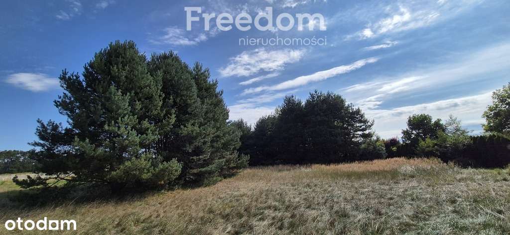 Ekskluzywna działka rezydencjonalna – 50 arów z MP - Pełny obrazek: 4/5