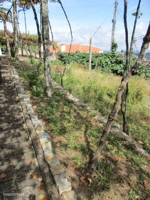 Quintinha em Roriz-15