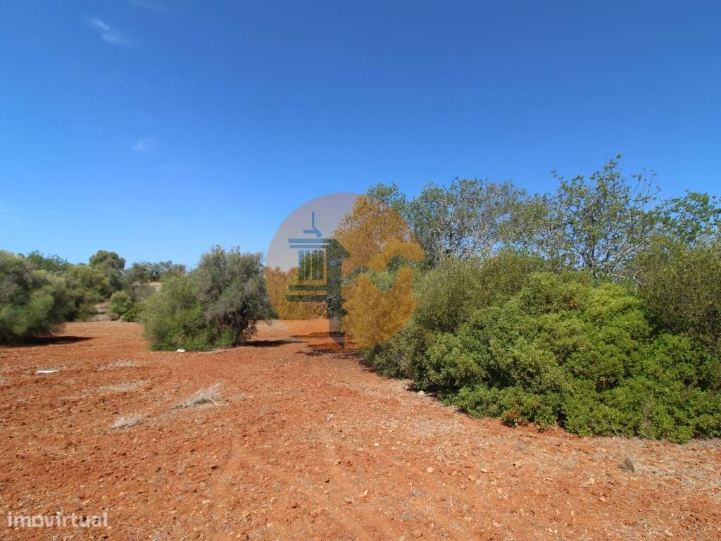 Terreno Rústico - Grande imagem: 5/23