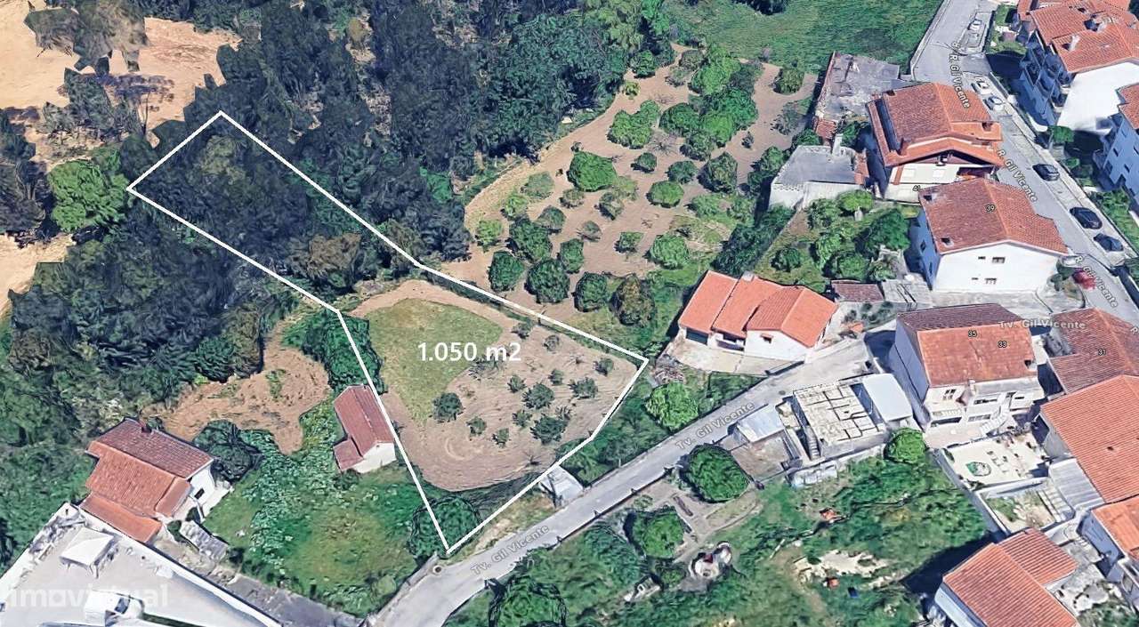 Terreno com Viabilidade Construção - 1.050 m2 | Fala - São Martinho do-3