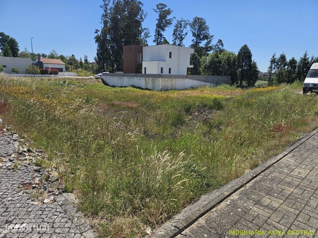 Lote de Terreno  Venda em Ançã,Cantanhede-6