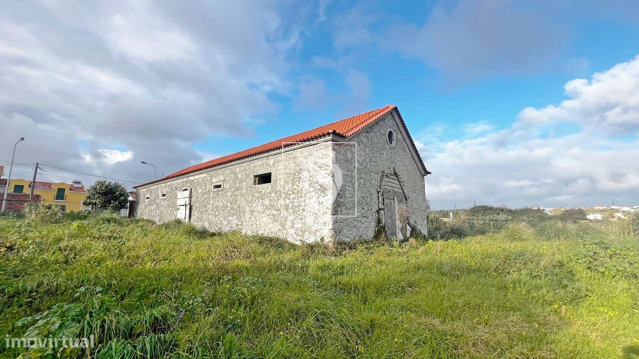 Adega com Antigo Lagar e Potencial para Turismo Rural – Localizada na - Grande imagem: 4/16