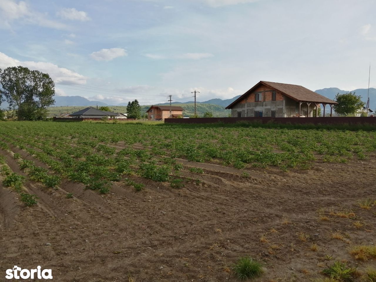 Vând teren arabil, intravilan, Zarnesti - 1500 mp (pentru casa)