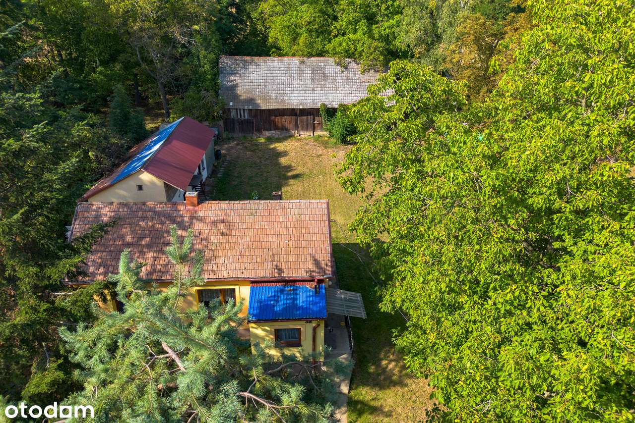 3M| DOM_osobna kuchnia_blisko lasu_stodoła| TYLKO U NAS!-13