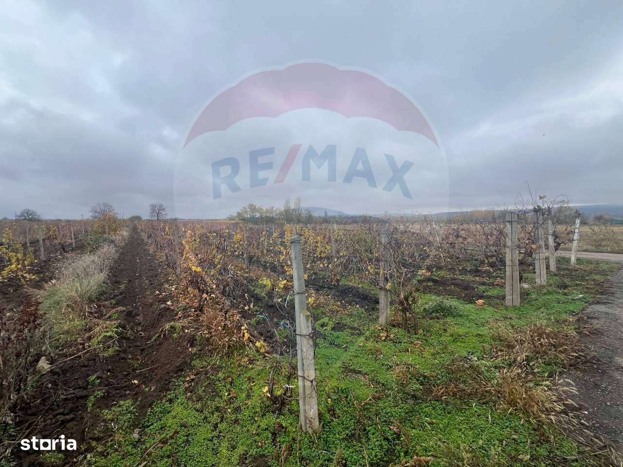 Teren intravilan 2727mp Carligele / Strada Tulceanu - Imagine principală: 5/6