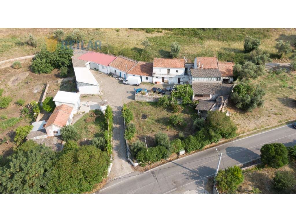 Á-Dos-Bispos - Quinta 11.680 m2 Investimento - Grande imagem: 4/5