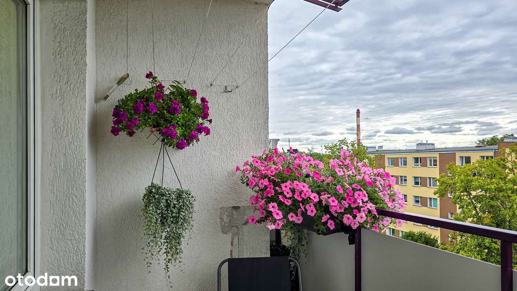 Na sprzedaż mieszkanie, Złotów, 3 pokoje, 45,5 m2 - Pełny obrazek: 5/13