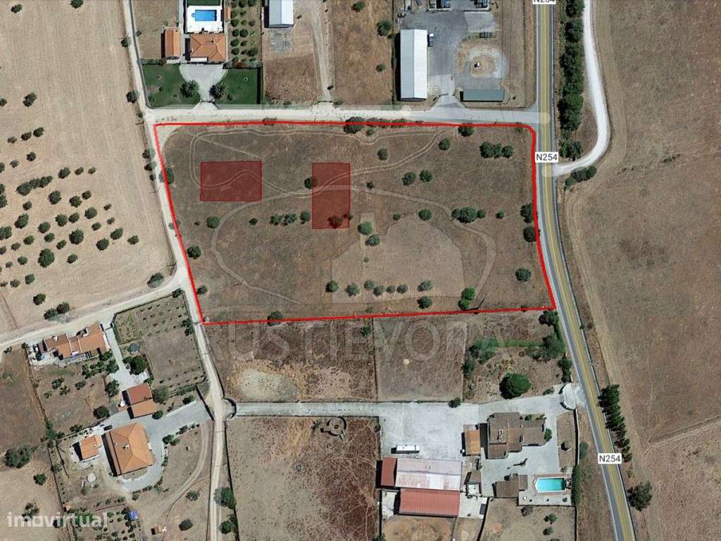 Quinta | Évora | Alentejo - Grande imagem: 2/22