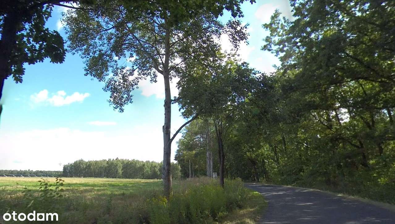 23 ary przy lesie -Działka z WZ na dom jednorodzinny, Góra -Niemodlin. - Pełny obrazek: 5/6