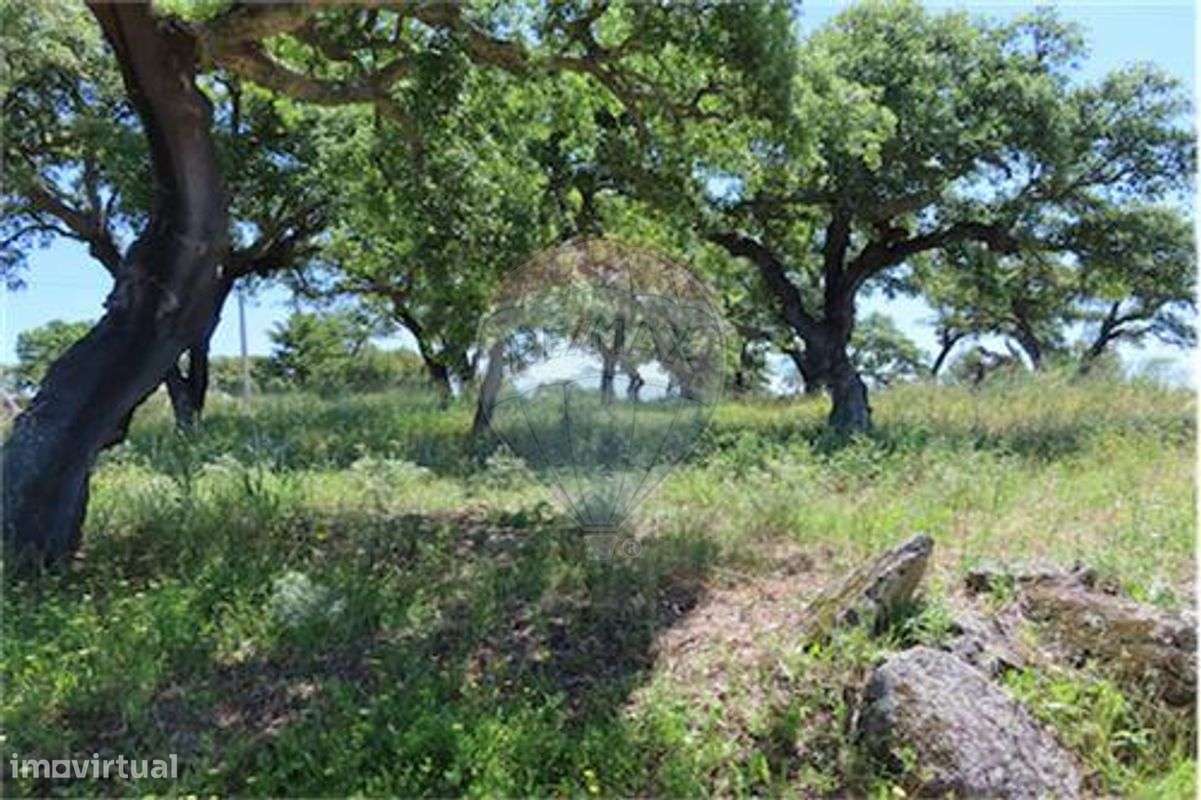 Quinta T0 para venda - Grande imagem: 2/18