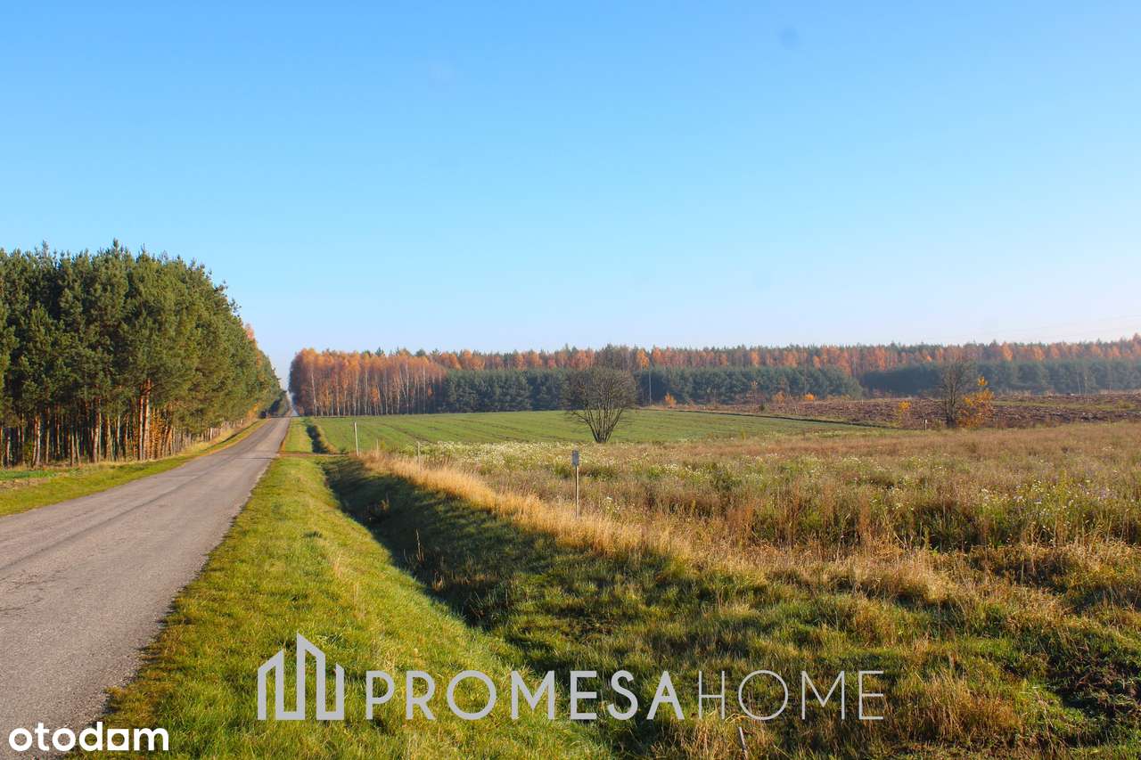 Krępa/Radomsko działki budowlane MPZP przy lesie dojazd asfaltowy !!!-4