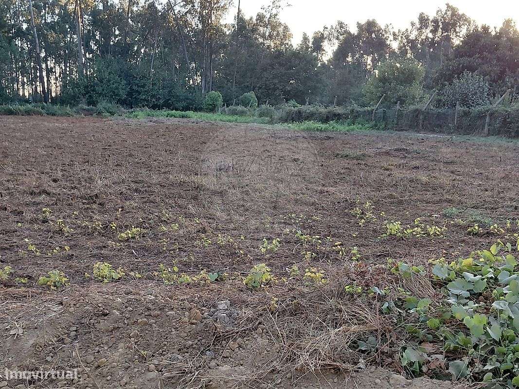 Terreno  para venda - Grande imagem: 4/5