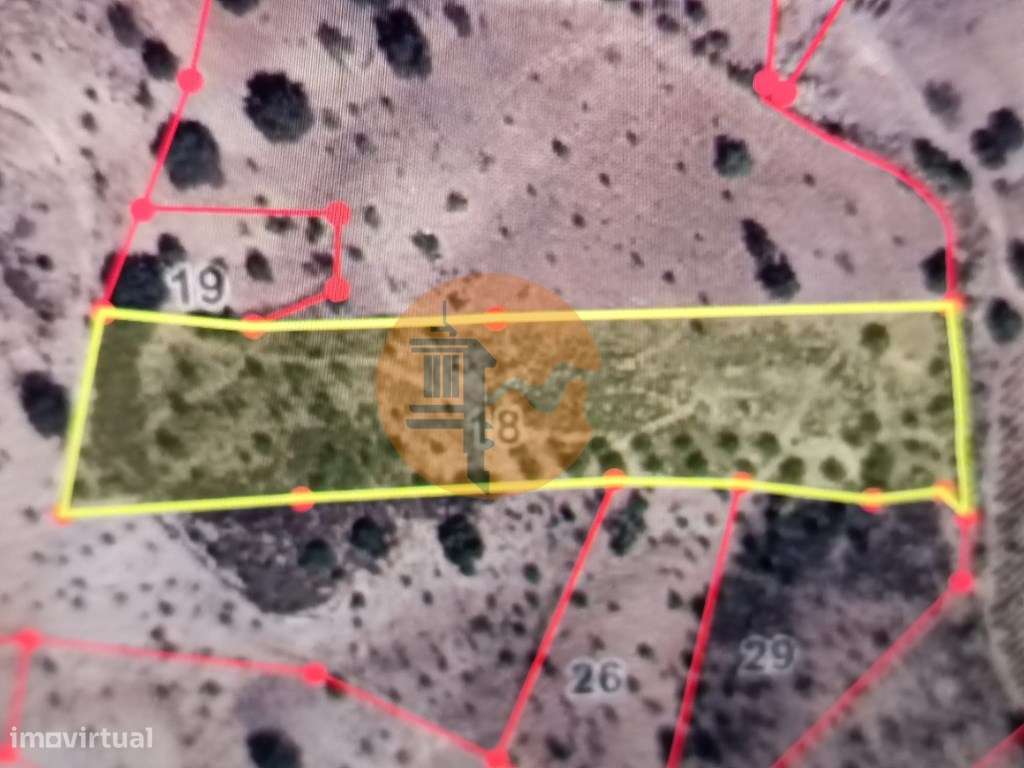 TERRENO COM 8.760 M2 - COM POÇO - EM PISA BARRO - CASTRO MARIM - AL... - Grande imagem: 5/29