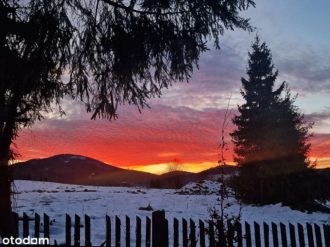 Działka budowlano- leśna z widokiem na góry| Ujsoły / Złatna | media-5