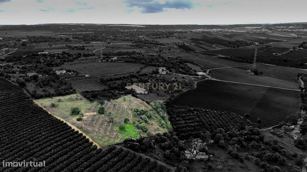 Terreno Rústico com Luz e Água entre Algoz e Tunes - Grande imagem: 4/17