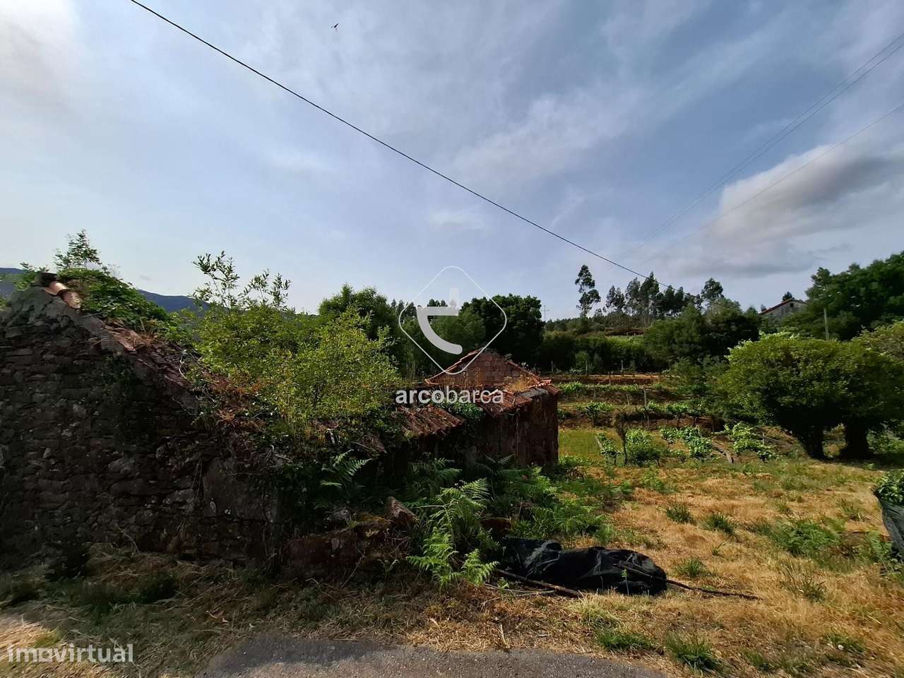 Quintinha ruinas p/restauro com 2520m2 - Moreira Lima - Ponte de Lima-21