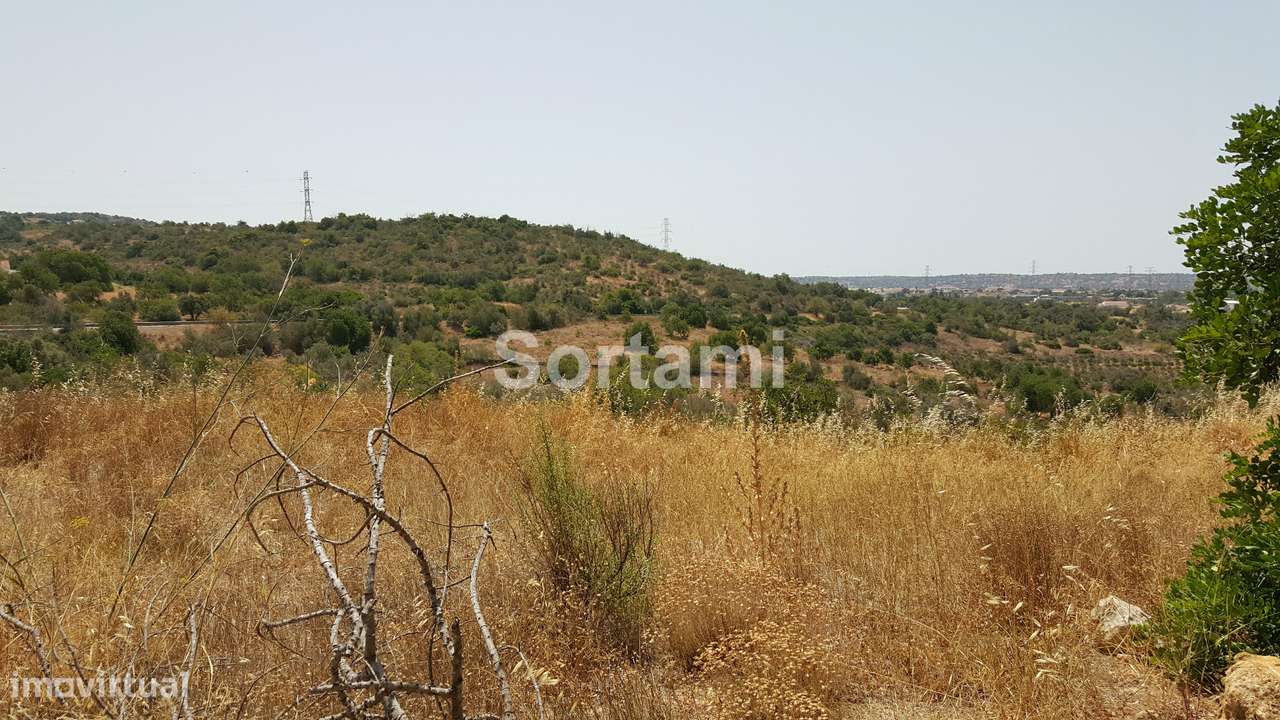 Terreno Rústico  Venda em Algoz e Tunes,Silves - Grande imagem: 4/7