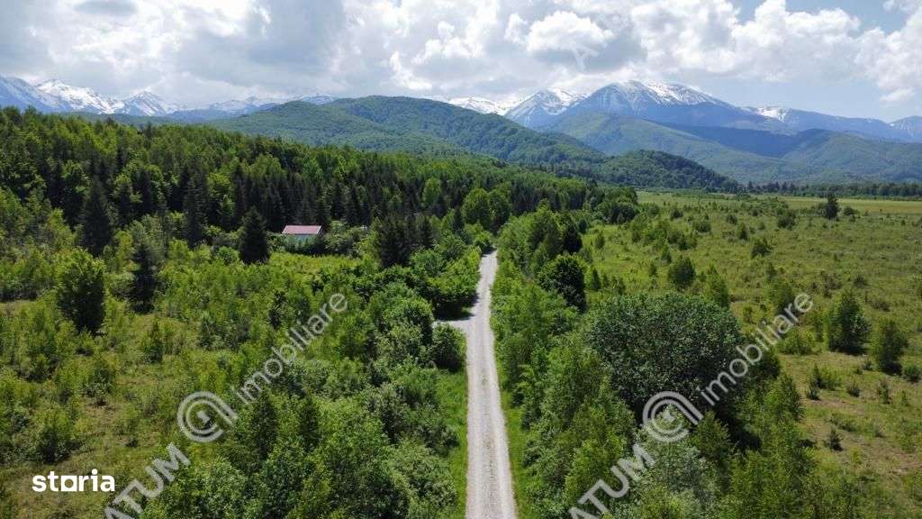 Teren intravilan de vanzare pe Valea Avrigului in suprafata de 1800 mp - Imagine principală: 5/6