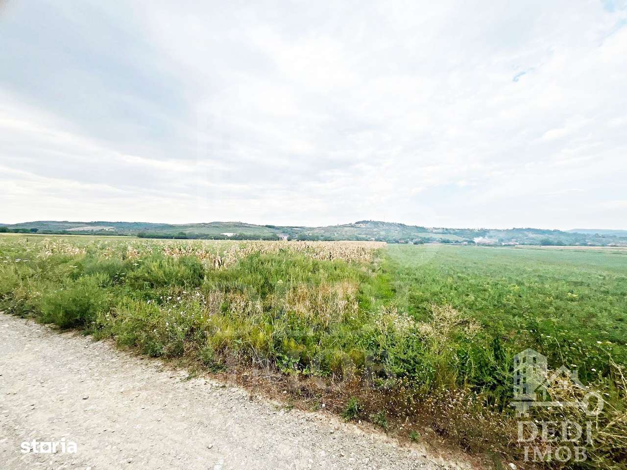 Teren extrvilan LUGASU DE JOS, Bihor - Imagine principală: 3/4