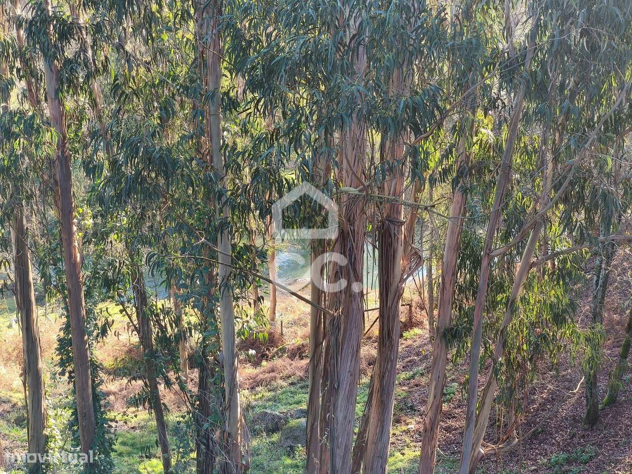 Moradia T2 + 1 em Construção em Delães - Grande imagem: 4/17